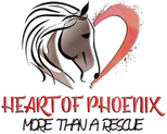 Heart of Phoenix Rescue